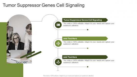 Tumor Suppressor Genes Cell Signaling In Powerpoint And Google Slides Cpb