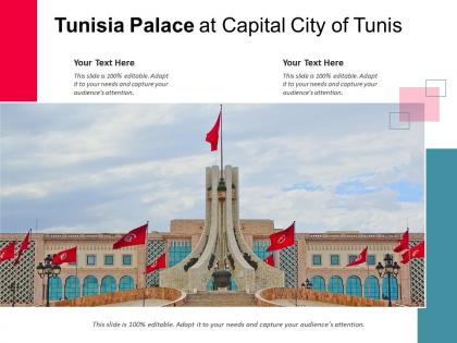 Tunisia palace at capital city of tunis