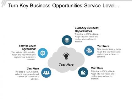 Turn key business opportunities service level agreement conflict management cpb