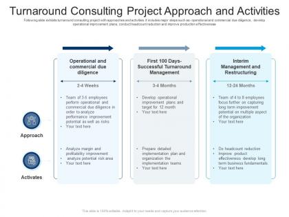 Turnaround consulting project approach and activities