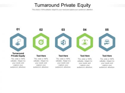Turnaround private equity ppt powerpoint presentation professional maker