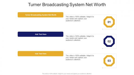 Turner Broadcasting System Net Worth In Powerpoint And Google Slides Cpb