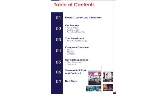 TV Advertising Proposal Table Of Contents One Pager Sample Example Document