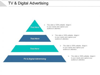 Tv and digital advertising ppt powerpoint presentation model guidelines cpb