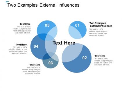 Two examples external influences ppt powerpoint presentation infographics example cpb