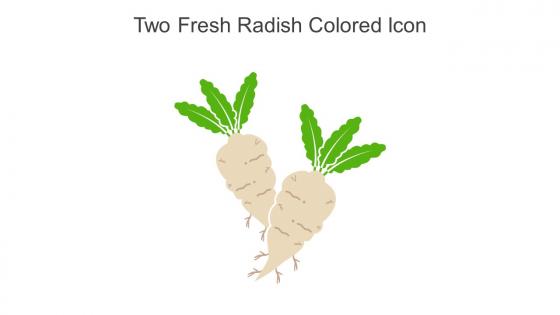 Two Fresh Radish Colored Icon In Powerpoint Pptx Png And Editable Eps Format