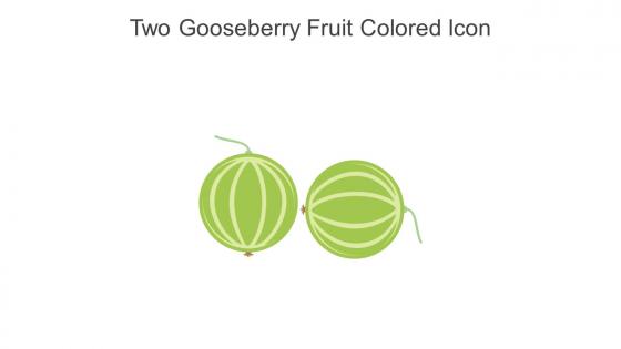 Two Gooseberry Fruit Colored Icon In Powerpoint Pptx Png And Editable Eps Format