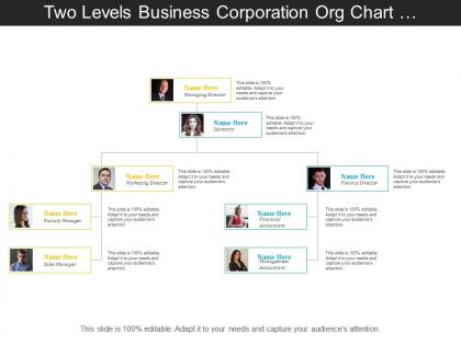 Two levels business corporation org chart with profile