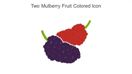 Two Mulberry Fruit Colored Icon In Powerpoint Pptx Png And Editable Eps Format