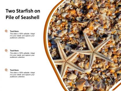 Two starfish on pile of seashell