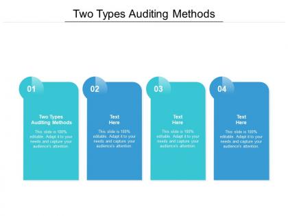 Two types auditing methods ppt powerpoint presentation styles display cpb