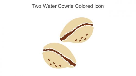 Two Water Cowrie Colored Icon In Powerpoint Pptx Png And Editable Eps Format