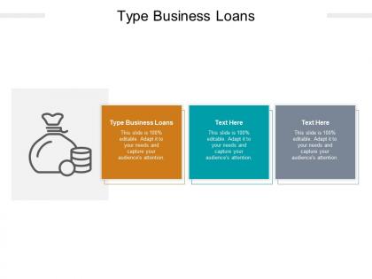 Type business loans ppt powerpoint presentation pictures themes cpb