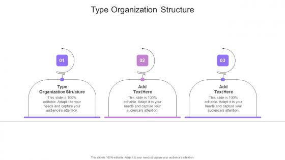 Type Organization Structure In Powerpoint And Google Slides Cpb