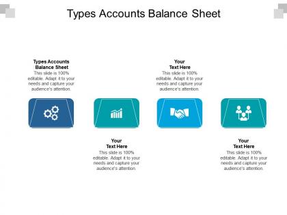 Types accounts balance sheet ppt powerpoint presentation inspiration design templates cpb