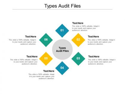 Types audit files ppt powerpoint presentation ideas maker cpb