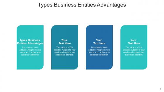 Types business entities advantages ppt powerpoint presentation inspiration master slide cpb