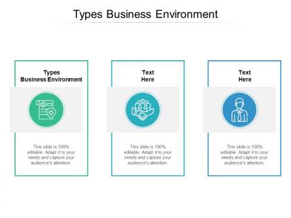 Types business environment ppt powerpoint presentation outline ideas cpb