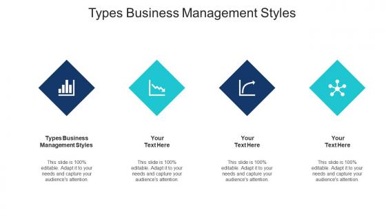 Types Business Management Styles Ppt Powerpoint Presentation Portfolio Vector Cpb
