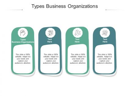 Types business organizations ppt powerpoint presentation gallery graphic images cpb