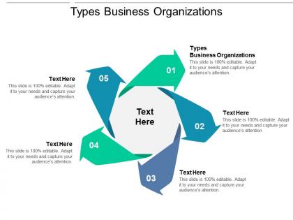 Types business organizations ppt powerpoint presentation professional good cpb