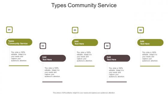 Types Community Service In Powerpoint And Google Slides Cpb
