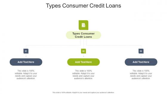 Types Consumer Credit Loans In Powerpoint And Google Slides Cpb