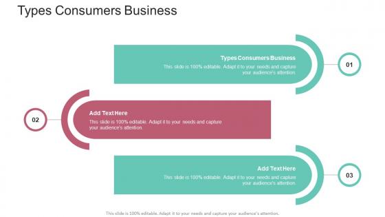 Types Consumers Business In Powerpoint And Google Slides Cpb