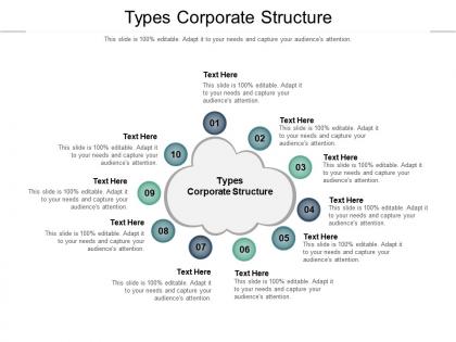 Types corporate structure ppt powerpoint presentation pictures elements cpb
