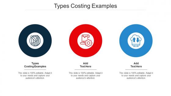 Types Costing Examples Ppt Powerpoint Presentation Outline Mockup Cpb