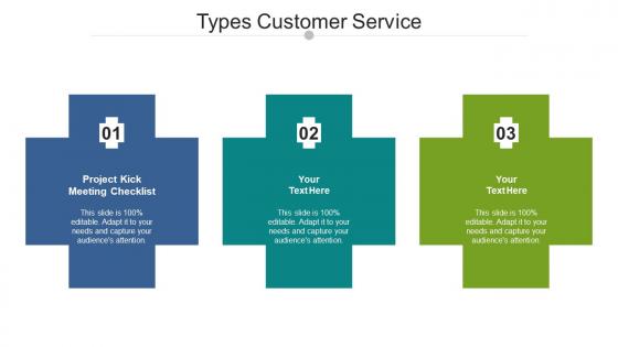 Types Customer Service Ppt Powerpoint Presentation Infographics Layout Cpb