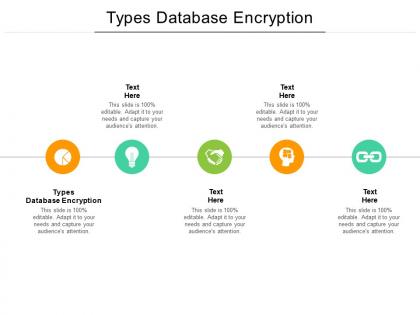Types database encryption ppt powerpoint presentation outline themes cpb