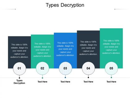 Types decryption ppt powerpoint presentation portfolio professional cpb