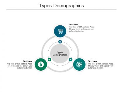 Types demographics ppt powerpoint presentation file samples cpb