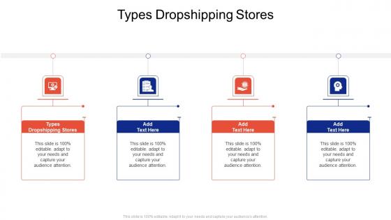 Types Dropshipping Stores In Powerpoint And Google Slides Cpb