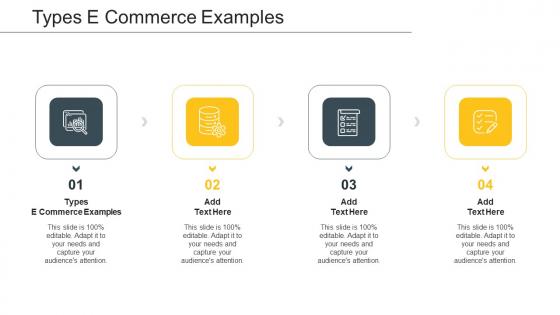 Types E Commerce Examples In Powerpoint And Google Slides Cpb
