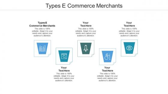 Types e commerce merchants ppt powerpoint presentation summary layout cpb