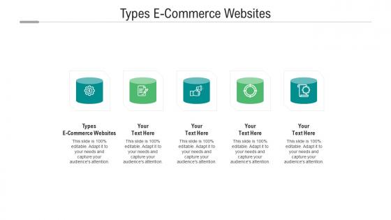 Types e commerce websites ppt powerpoint presentation gallery ideas cpb