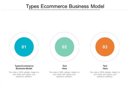 Types ecommerce business model ppt powerpoint presentation graphics example cpb
