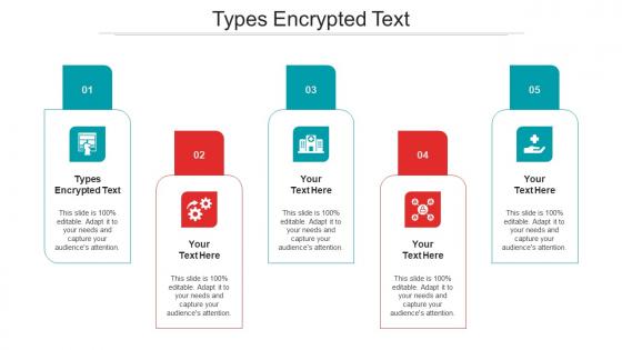 Types encrypted text ppt powerpoint presentation infographics graphics template cpb