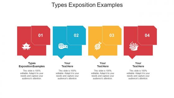 Types exposition examples ppt powerpoint presentation infographic cpb