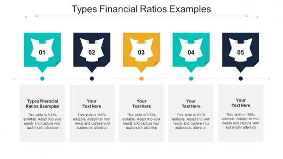 Types Financial Ratios Examples Ppt Powerpoint Presentation Professional Graphics Cpb