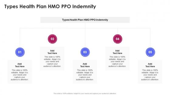 Types Health Plan HMO PPO Indemnity In Powerpoint And Google Slides Cpb