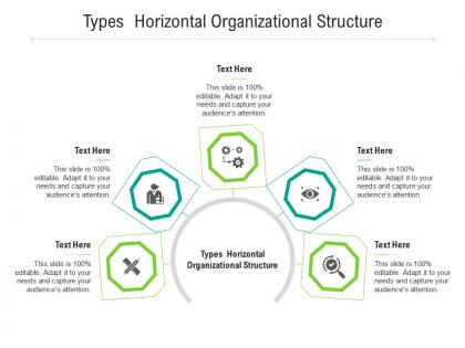 Types horizontal organizational structure ppt powerpoint presentation portfolio example cpb