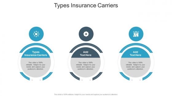 Types Insurance Carriers In Powerpoint And Google Slides Cpb