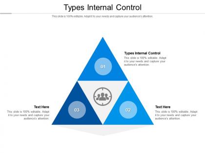 Types internal control ppt powerpoint presentation professional graphics example cpb