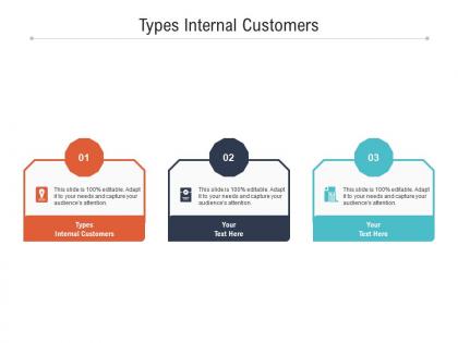 Types internal customers ppt powerpoint presentation infographics designs download cpb