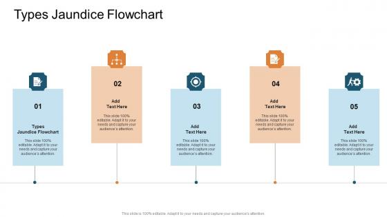 Types Jaundice Flowchart In Powerpoint And Google Slides Cpb