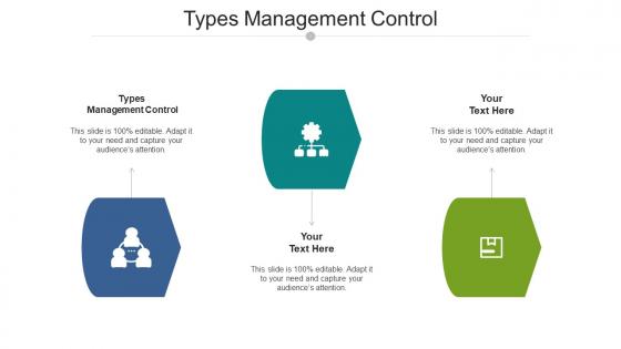 Types Management Control Ppt Powerpoint Presentation Gallery Microsoft Cpb