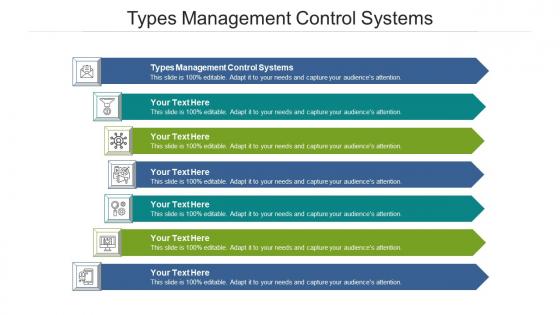 Types Management Control Systems Ppt Powerpoint Presentation Styles Graphics Cpb